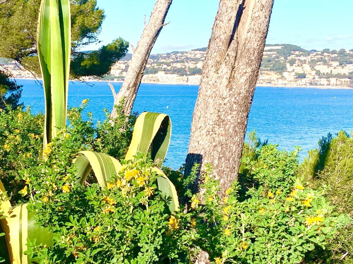 La Plage A 5 Minutes A Pied, Calme Et Verdure Sanary-sur-Mer Exterior foto